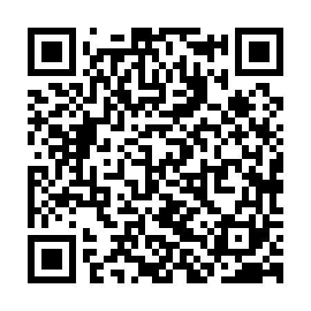 QR code for SLX161