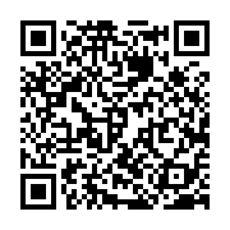 QR code for SMD919