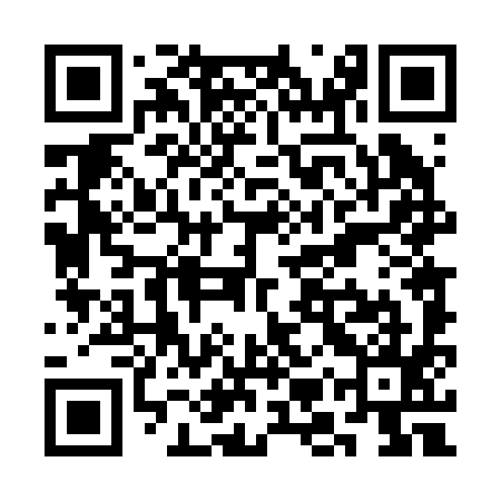 QR code for SMT295