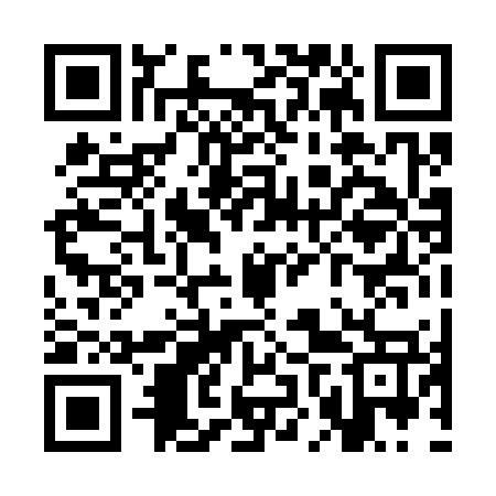 QR code for SNP377