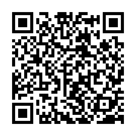 QR code for SON309