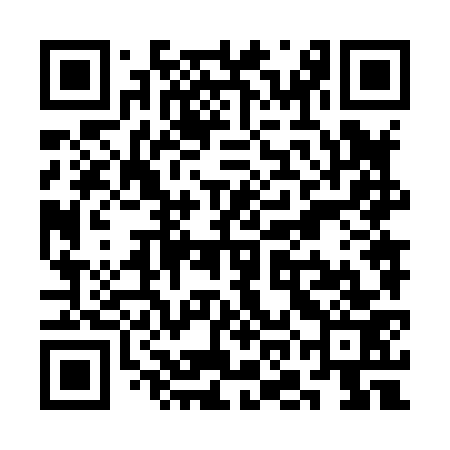 QR code for SON873