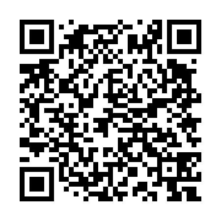 QR code for SPE438