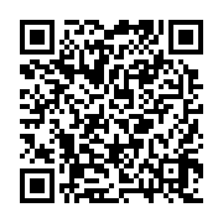 QR code for SPJ318