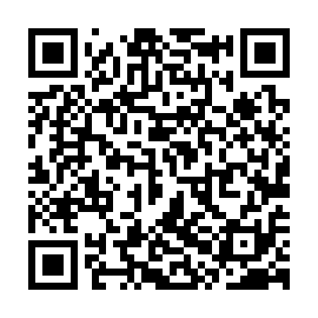 QR code for SPL311