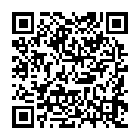 QR code for SPY399