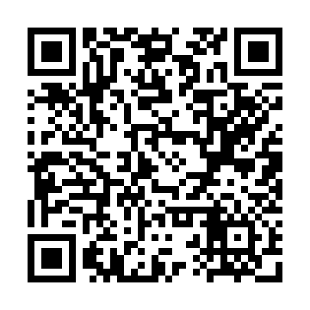 QR code for SRQ336