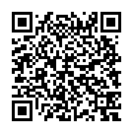 QR code for SRT738