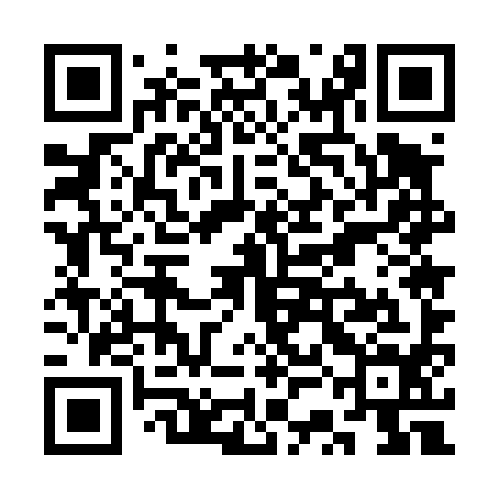QR code for SSE494