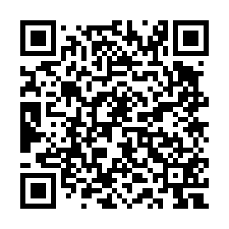 QR code for STK451