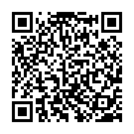 QR code for STL119