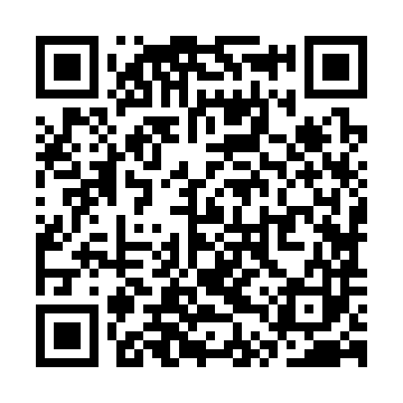 QR code for STZ383
