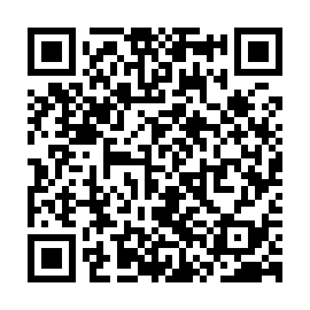 QR code for SVG939