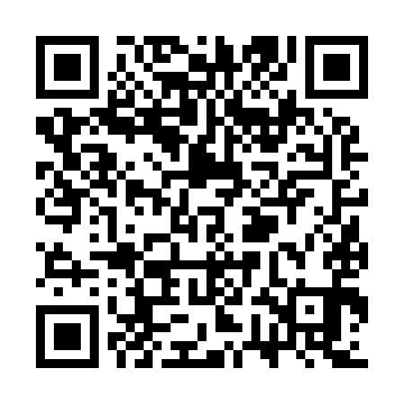 QR code for SWF991