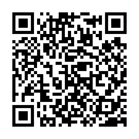 QR code for SWG638