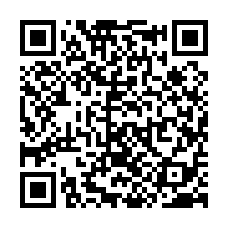 QR code for SYI119