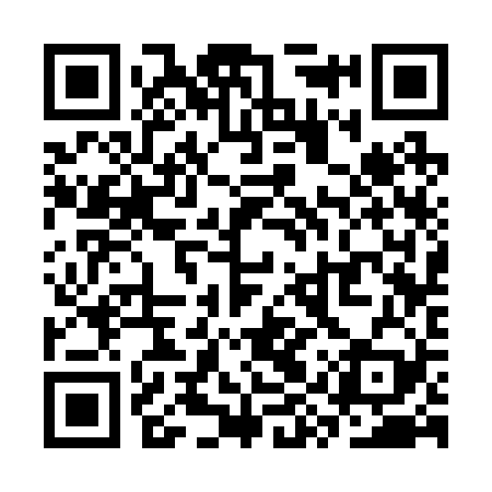 QR code for SYS229