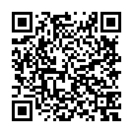 QR code for SYY878