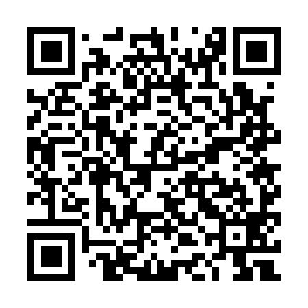 QR code for TDG199