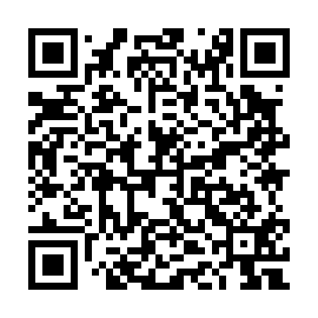 QR code for TDI011