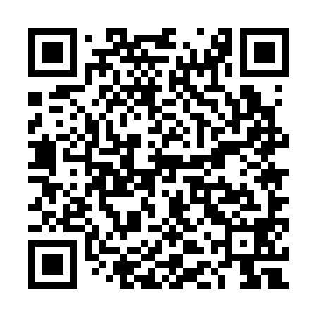 QR code for TDU398