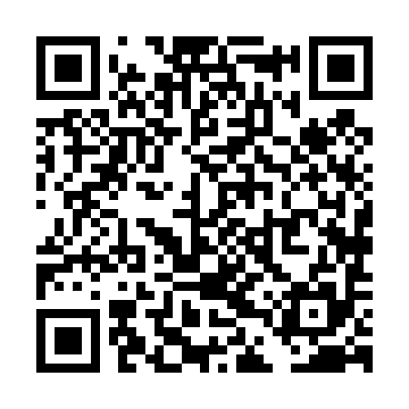 QR code for TDX495