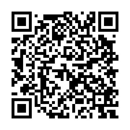QR code for TEM009