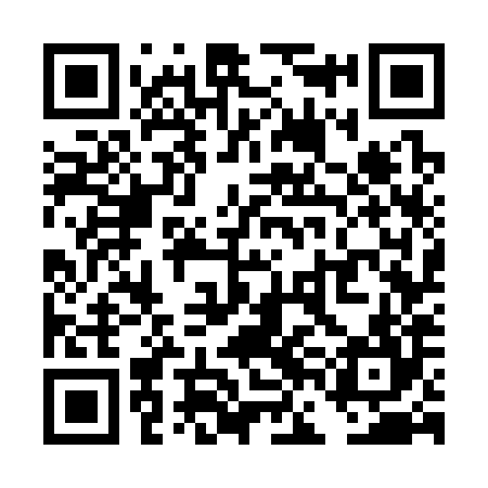 QR code for TFG384