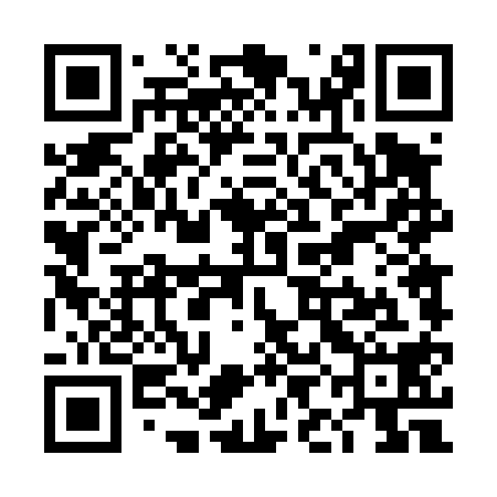 QR code for TID418