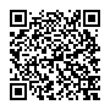 QR code for TIE339