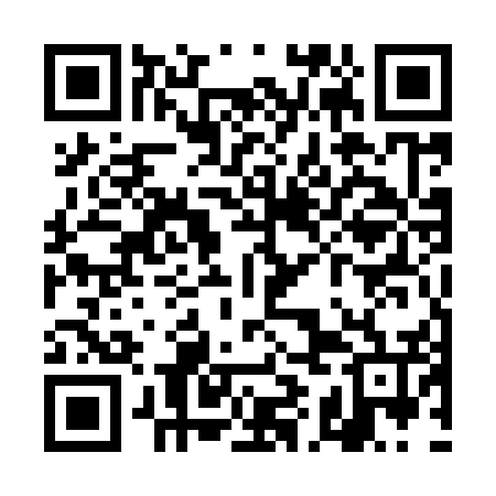 QR code for TIE956