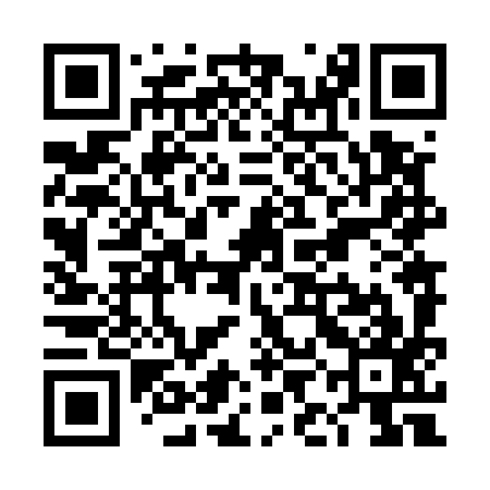 QR code for TIN597