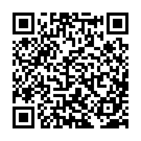 QR code for TIP385