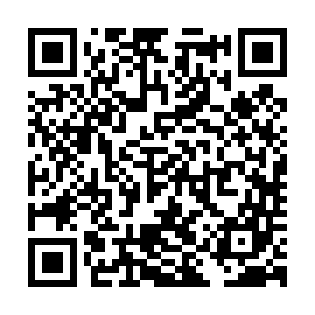 QR code for TIR447