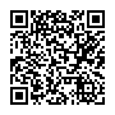 QR code for TIZ994
