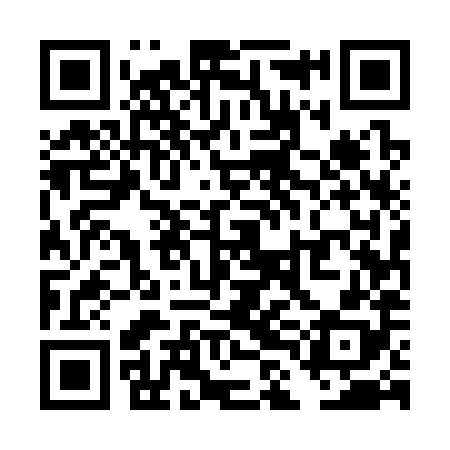 QR code for TLE388