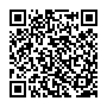 QR code for TLE441