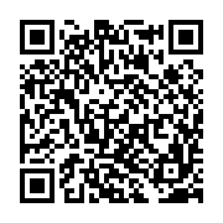 QR code for TLI196