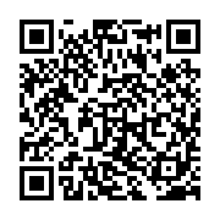 QR code for TLI291