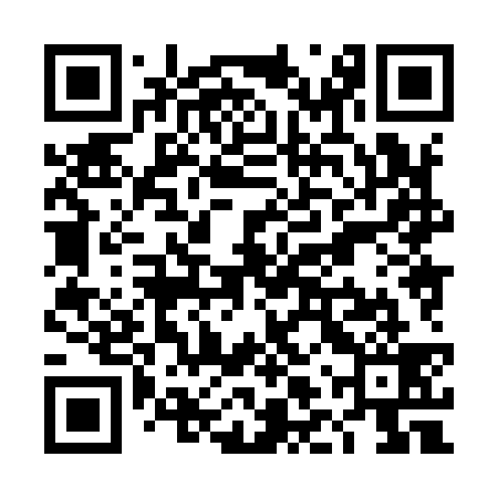 QR code for TLX939