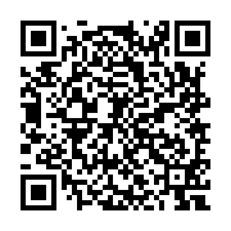 QR code for TLZ991