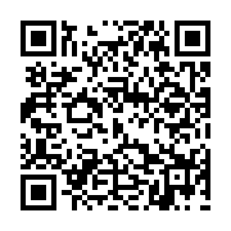 QR code for TML339