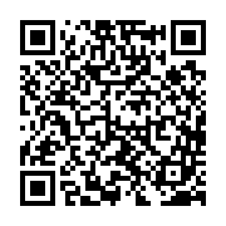 QR code for TNP743