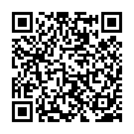 QR code for TNS411