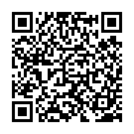 QR code for TNS603