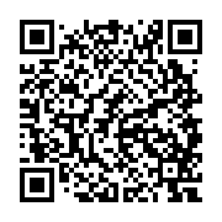 QR code for TNV387