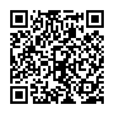 QR code for TOG419