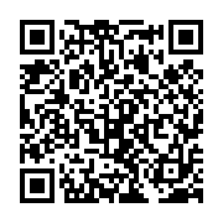 QR code for TON413