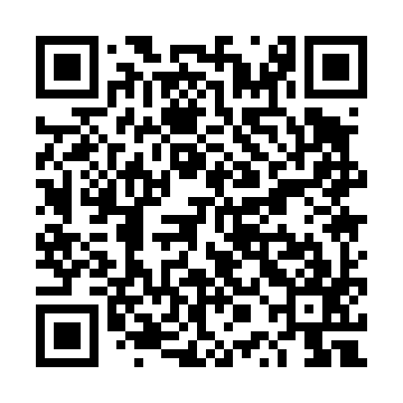 QR code for TPA497