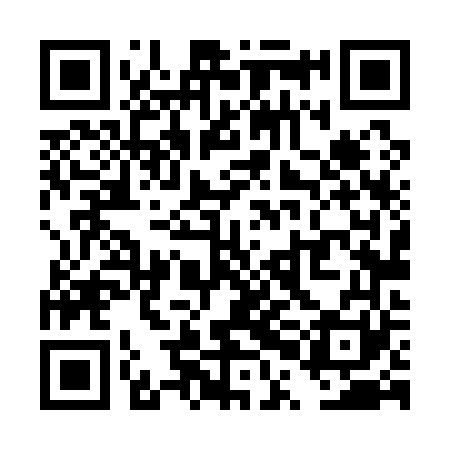 QR code for TPL161